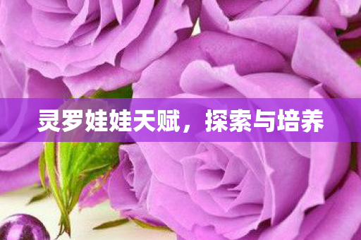 灵罗娃娃天赋,探索与培养 灵罗娃娃天赋,探索与培养