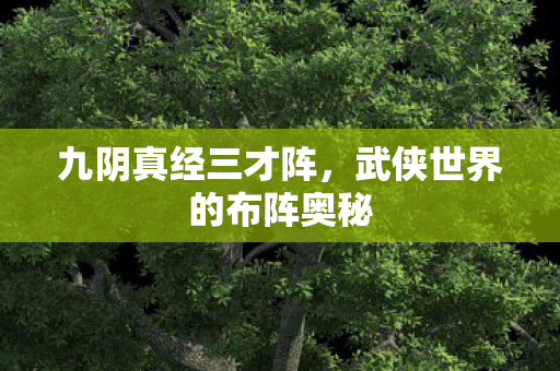 九阴真经三才阵,武侠世界的布阵奥秘 九阴真经三才阵,武侠世界的布阵奥秘