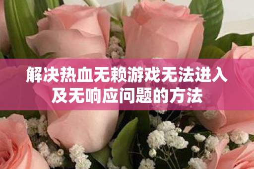 解决热血无赖游戏无法进入及无响应问题的方法 解决热血无赖游戏无法进入及无响应问题的方法