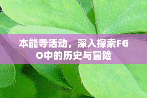 本能寺活动,深入探索FGO中的历史与冒险 本能寺活动,深入探索FGO中的历史与冒险