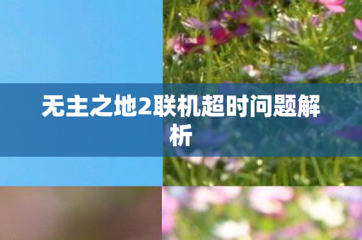 无主之地2联机超时问题解析