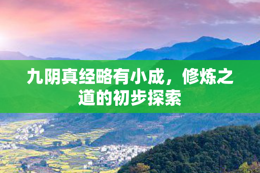 九阴真经略有小成，修炼之道的初步探索