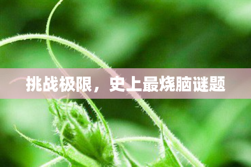 挑战极限，史上最烧脑谜题
