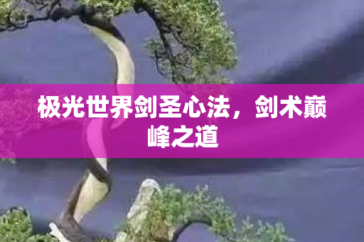 极光世界剑圣心法，剑术巅峰之道