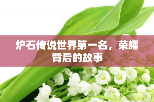 炉石传说世界第一名，荣耀背后的故事
