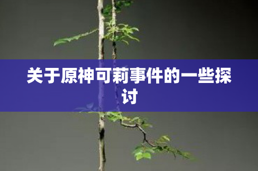 关于原神可莉事件的一些探讨