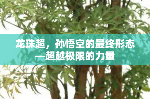 龙珠超,孙悟空的最终形态—超越极限的力量 龙珠超,孙悟空的最终形态—超越极限的力量
