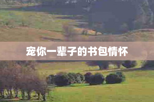 宠你一辈子的书包情怀 宠你一辈子的书包情怀
