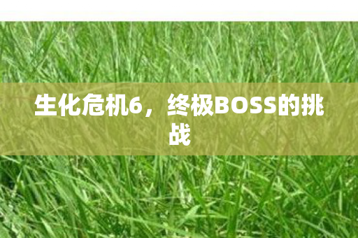 生化危机6,终极BOSS的挑战 生化危机6,终极BOSS的挑战