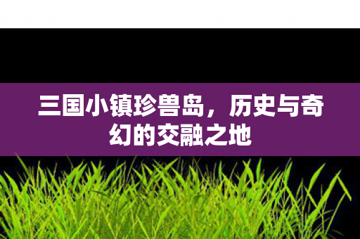 三国小镇珍兽岛，历史与奇幻的交融之地