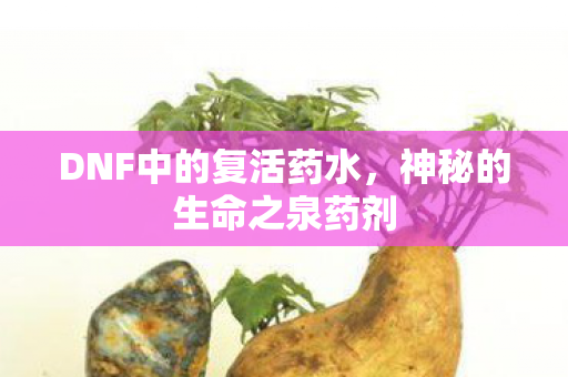 DNF中的复活药水,神秘的生命之泉药剂 DNF中的复活药水,神秘的生命之泉药剂