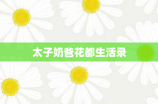 太子奶爸花都生活录 太子奶爸花都生活录