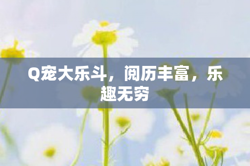 Q宠大乐斗,阅历丰富,乐趣无穷 Q宠大乐斗,阅历丰富,乐趣无穷