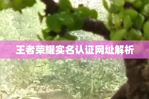 王者荣耀实名认证网址解析 王者荣耀实名认证网址解析