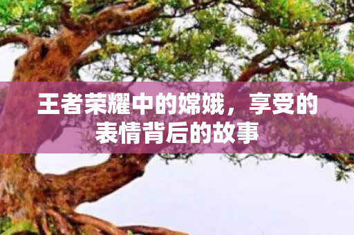 王者荣耀中的嫦娥，享受的表情背后的故事