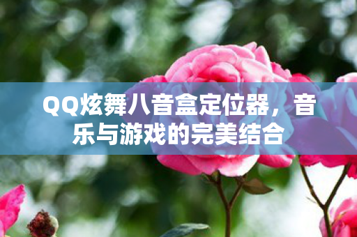 QQ炫舞八音盒定位器，音乐与游戏的完美结合