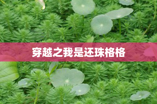 穿越之我是还珠格格