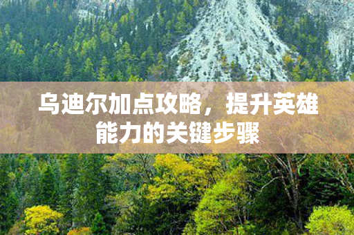 乌迪尔加点攻略,提升英雄能力的关键步骤 乌迪尔加点攻略,提升英雄能力的关键步骤