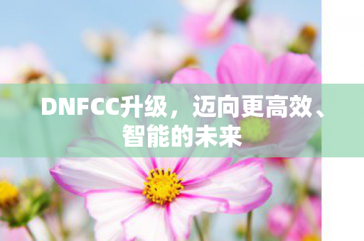 DNFCC升级,迈向更高效、智能的未来 DNFCC升级,迈向更高效、智能的未来