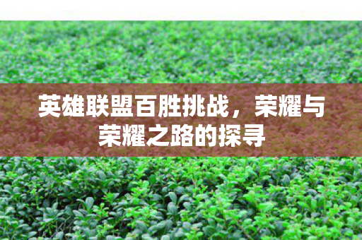 英雄联盟百胜挑战，荣耀与荣耀之路的探寻
