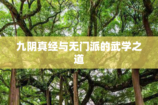九阴真经与无门派的武学之道