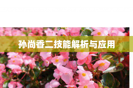 孙尚香二技能解析与应用
