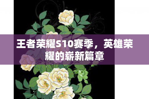 王者荣耀S10赛季，英雄荣耀的崭新篇章