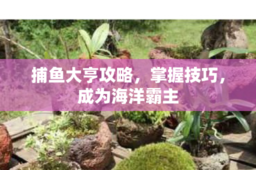 捕鱼大亨攻略,掌握技巧,成为海洋霸主 捕鱼大亨攻略,掌握技巧,成为海洋霸主