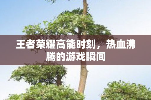 王者荣耀高能时刻，热血沸腾的游戏瞬间