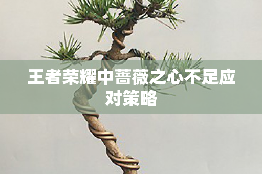 王者荣耀中蔷薇之心不足应对策略 王者荣耀中蔷薇之心不足应对策略
