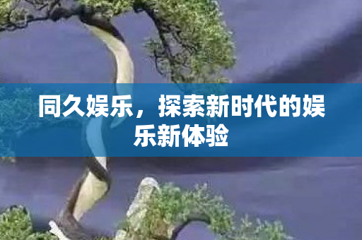 同久娱乐,探索新时代的娱乐新体验 同久娱乐,探索新时代的娱乐新体验