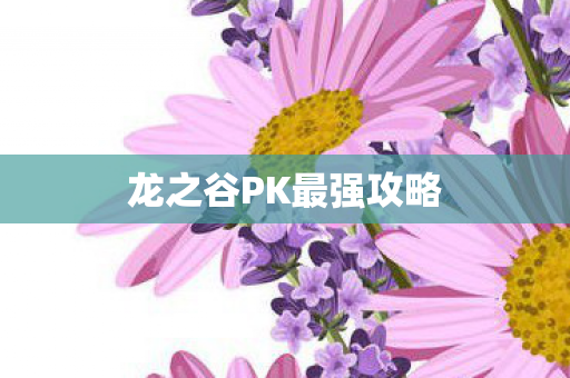 龙之谷PK最强攻略 龙之谷PK最强攻略