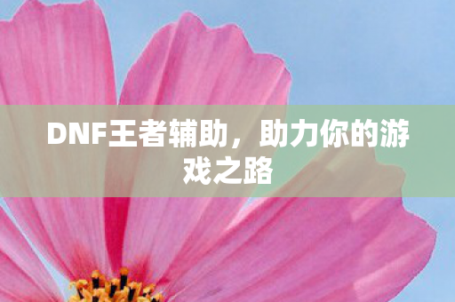DNF王者辅助，助力你的游戏之路