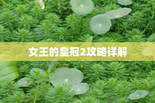 女王的皇冠2攻略详解