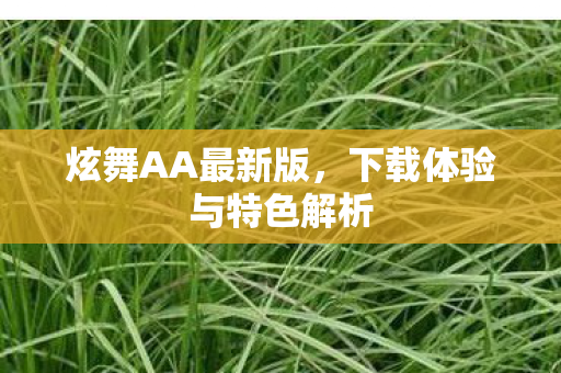 炫舞AA最新版,下载体验与特色解析 炫舞AA最新版,下载体验与特色解析