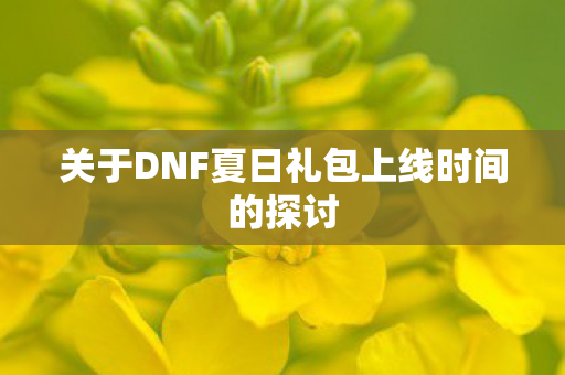 关于DNF夏日礼包上线时间的探讨 关于DNF夏日礼包上线时间的探讨
