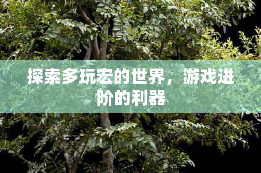 探索多玩宏的世界，游戏进阶的利器