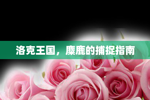 洛克王国，麋鹿的捕捉指南