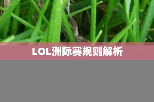 LOL洲际赛规则解析 LOL洲际赛规则解析