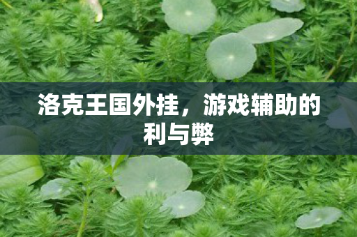 洛克王国外挂,游戏辅助的利与弊 洛克王国外挂,游戏辅助的利与弊