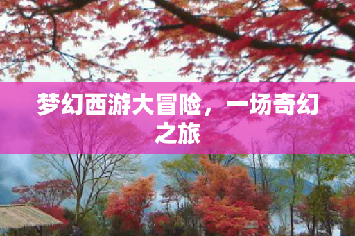梦幻西游大冒险,一场奇幻之旅 梦幻西游大冒险,一场奇幻之旅