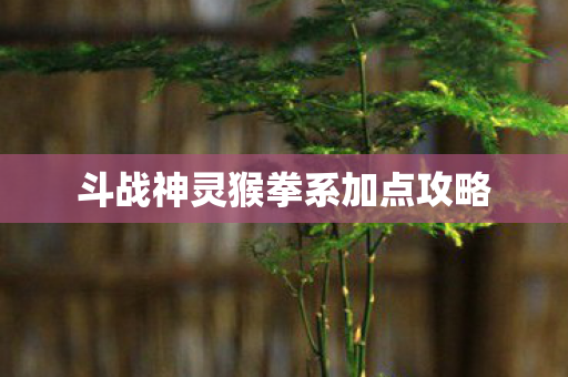 斗战神灵猴拳系加点攻略 斗战神灵猴拳系加点攻略