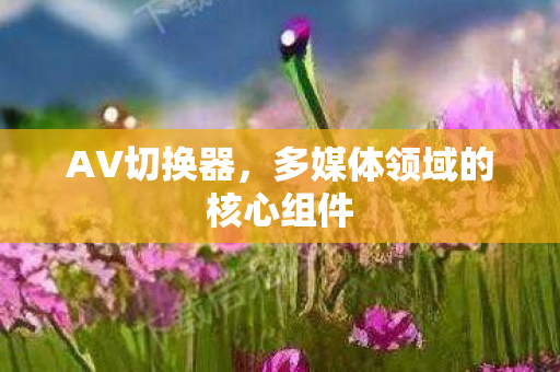AV切换器,多媒体领域的核心组件 AV切换器,多媒体领域的核心组件