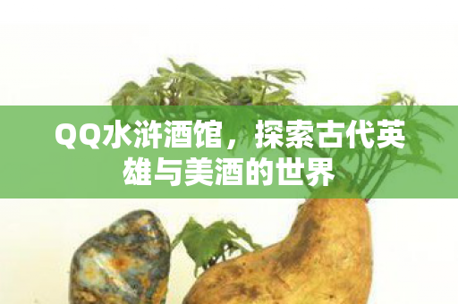 QQ水浒酒馆,探索古代英雄与美酒的世界 QQ水浒酒馆,探索古代英雄与美酒的世界