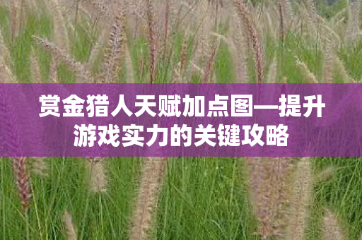 赏金猎人天赋加点图—提升游戏实力的关键攻略