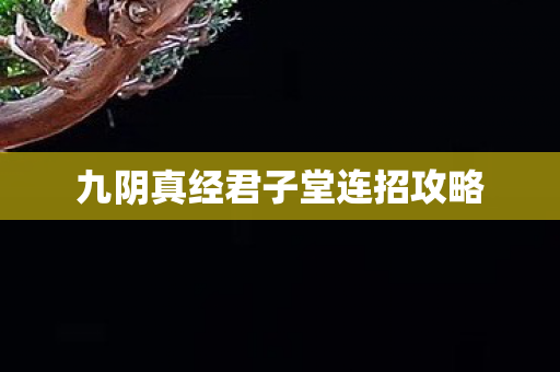 九阴真经君子堂连招攻略 九阴真经君子堂连招攻略