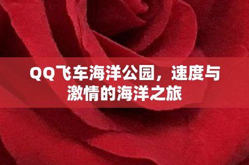 QQ飞车海洋公园，速度与激情的海洋之旅