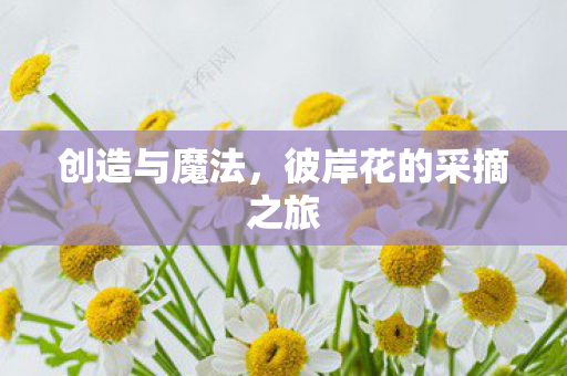创造与魔法，彼岸花的采摘之旅