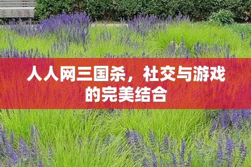 人人网三国杀,社交与游戏的完美结合 人人网三国杀,社交与游戏的完美结合