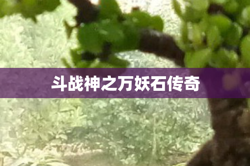 斗战神之万妖石传奇